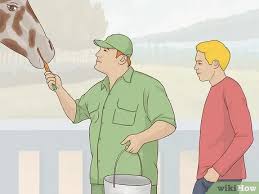 How To Be A Zookeeper 9 Steps With Pictures Wikihow