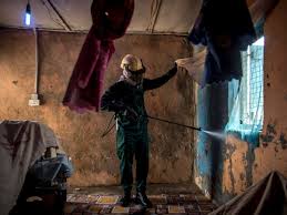 Der impfstoff könnte viele leben retten. Durchbruch Bei Der Forschung Nach Einem Malaria Impfstoff Ein Fantastisches Ergebnis Panorama