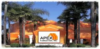 This has been the pest control mantra. Apex Fumigation Orange County Amp Los Angeles Termite Fumigating Services For Pest Control Companies Property Ma Pest Control Garden Guide Organic Gardening