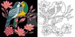 Maybe you would like to learn more about one of these? Stickerei Papageien Design Sammlung Von Fancywork Elementen Fototapete Fototapeten Blutenblatter Wellensittich Schone Myloview De