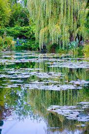 Monet S Garden By Steven Johnson 500px Monet Garden Giverny Claude Monet Monet