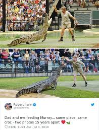 I remember watching, the crocodile hunter, in awe and trepidation. Son Of The Famous Steve Irwin Robert Irwin Recently Recreated A Famous Shot Of His Father At The Australia Zoo Nostalgia