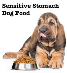 If not, there are many things you can do to improve your puppy's sensitive stomach, including finding a puppy food for sensitive stomachs. Best Dog Food For Sensitive Stomach Review Of The Top Choices
