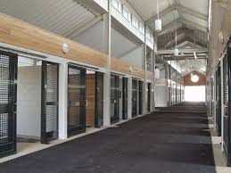 Longwood Foaling Barn Casanova Va Dream Horse Barns Horse Barn Designs Barn Stalls