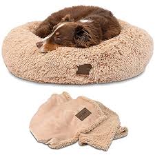 We did not find results for: 12 Best Calming Dog Beds With Buyer S Guide Dog Endorsed