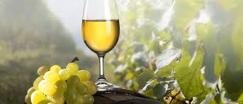 Es Ist Federweisser Zeit Bei Edeka Wagner In Coburg