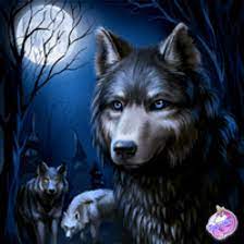 Fun Color Forty One By Angeldeath98 On Deviantart Wolf Dog Wolf Spirit Animal Wolf Pictures