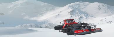 Each character having a relationship with the main character will have their name displayed in list, with their role shown beside in parentheses. Winter Resort Simulator Wiki Wrs Wiki