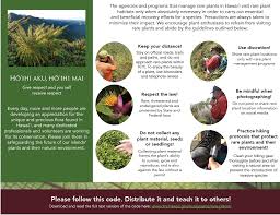 Maybe you would like to learn more about one of these? Native Ecosystems Protection Management Rare Plant Program
