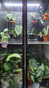 Making this type of greenhouse is relatively cheap and easy, but it is also a bit of an undertaking in terms of labour and time, especially if. Diy Greenhouse Cabinet It S Not Ikea So It S Frickin Cheap Lol Houseplants