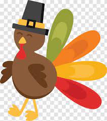 See more ideas about turkey cartoon, thanksgiving images, thanksgiving turkey. Thanksgiving Turkey Chicken Transparent Png