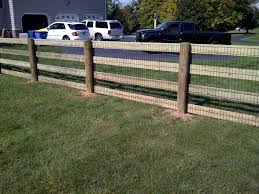 Horse peering over fence, north canvas wall art print, horse home decor. Southern Wood Horse Fences Horse Fencing Dog Fence Backyard Fences