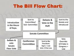 How A Bill Becomes A Law Sarah Elsasser By Sarah Elsasser