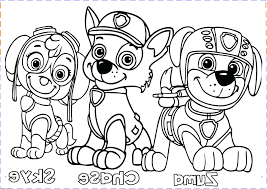 25 creative picture of free paw patrol coloring pages albanysinsanity com coloriage vieux tracteur