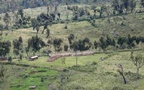 Just a year after finishing his secondary education at kericho high school, prof. Governor Chepkwony Tells State Off On Eviction Plan The Standard