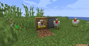 This is an beta test minecraft mod. Layingbox Mod 1 16 1 Breeding Farming 99minecraft