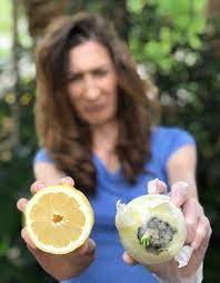 Citric Acid What Is It Really Lilsipper