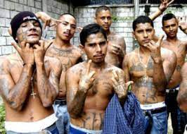 Is it safe to travel to el salvador? El Salvador Gangs Responsible For 84 Of Forced Displacement Report Insight Crime