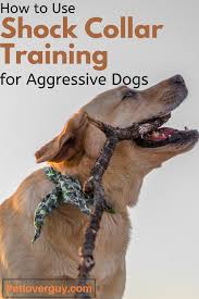 How To Use Shock Collar Training For Aggressive Dogs Aggressive Dog Shock Collar Dog Shock Collar