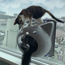 The cat window hammock will deliver soft and comfy touch feelings to your lovely cat to enable a cozy & relaxing nap. 7 Cat Window Hammocks Your Kitty Will Love Meow As Fluff