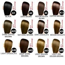For example, frosted tips on dark brown hair or black. Berina Black Brown Hues Hair Color Dye Buy A1 To A 47 On Sale