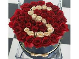 Red and white flowers plant. Red And White Roses à¤² à¤² à¤— à¤² à¤¬ à¤° à¤¡ à¤° à¤œ Iris Florist Mangalore Id 21163727097