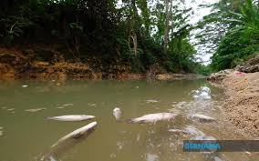 Sungai kaveri yang mengalir di karnataka dan tamil nadu digelar ganges selatan. Tinta Minda Bernama Pencemaran Sungai Dan Gangguan Bekalan Air Persoalan Perundangan