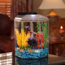 Imagitarium 1 7 Gallon Hexagonal Aquarium Petco Small Fish Tanks Fish Tank 1 Gallon Fish Tank