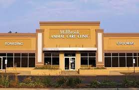 Vaccinations clinic in south elgin, il. Veterinary Hospital Algonquin Geneva Hoffman Estates South Elgin