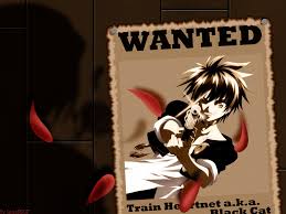 pin by arlene chan on black cat black cat anime black cat cats