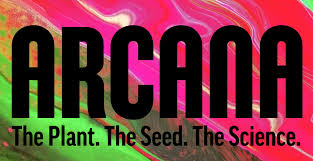 Arcana Collective Unites Legacy Cannabis Breeders and Business Leaders to