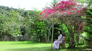 Setiap rabu & khamis, 9.30 malam. Isteri Dalam Sangkar Episod 1 Video Dailymotion