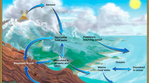 For example if he knows his performance will be judged based on achievement of a target he ll work to achieve it. The Phosphorus Cycle Article Ecology Khan Academy