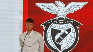 Benfica Luca Waldschmidt Futebol Reforco Sl Benfica