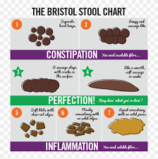 Dog Poop Normal Cake Bristol Stool Chart Hd Png Download