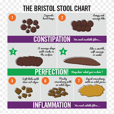 dog poop normal cake bristol stool chart hd png download