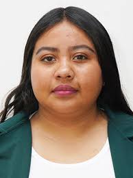 Concejales de la Alcaldía Álvaro Obregón