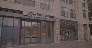 Maybe you would like to learn more about one of these? South Arlington Columbia Pike Location Clarendon Animal Care