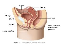 incontinencia urinaria dr gustavo cruz