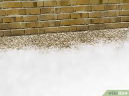 If you already have an infestation, you'll have to hire a professional to rectify the situation. How To Get Rid Of Silverfish 14 Steps With Pictures Wikihow