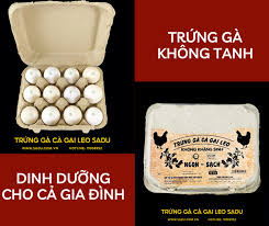 Tại sao trứng gà cà gai leo sadu khác biệt hoàn toàn so với trứng gà thường?