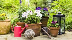 Wurzelnackte sträucher haben baumschulen bis ende des monats noch im programm, um sich einen preisgünstigen, lebenden gartenzaun zu pflanzen. Gartentipps Fur Marz Ndr De Ratgeber Garten Gartenkalender