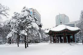 Sebab sekarang tengah musim bunga. Ad Deeni Travel Tours Sdn Bhd Tips Bercuti Di Korea Pada Musim Sejuk