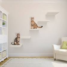 Install Cat Shelf Google Search Cat Wall Shelves Cat Shelves Cat Playground