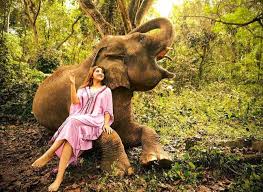 Unduh dan gunakan 10.000+ foto stok kebun binatang secara gratis. 7 Gaya Ashanty Foto Bareng Gajah Di Kebun Binatang Aurany Terpancar