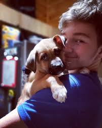 A little puppy love to brighten your feed 🐾 💙