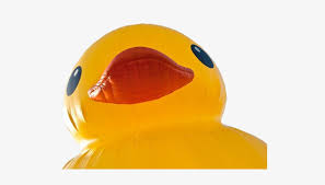 A complete range of products and services teh ah yau rubber factory sdn bhd. Disgruntled Ramblings And Designs Rubber Ducky Transparent Background Transparent Png 580x387 Free Download On Nicepng