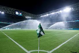 📋 Palmeiras named for Libertadores last-16 opener