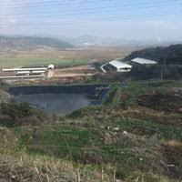 Tarım ve hayvancılık dünyanın en önemli, en stratejik sektörleri arasında geçer. Sut Kardesler Sut Ve Sut Urn A S Dikili
