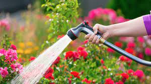 Check spelling or type a new query. How Often Should I Water My Garden Chadwicks Building Plumbing Hire Diy